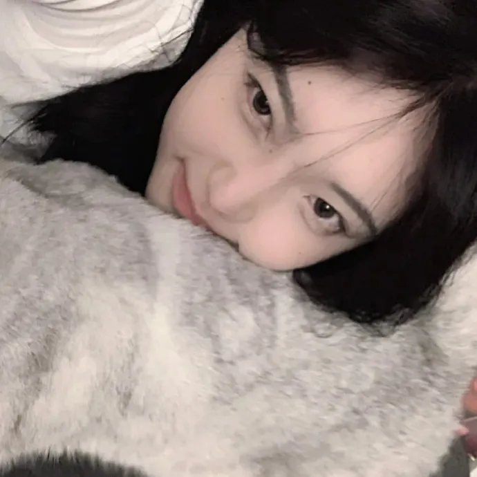 翻译疑云